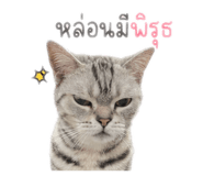838431132