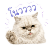 838431845
