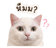 838432193
