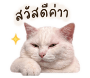 838432198