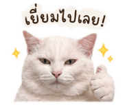 838432199