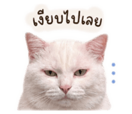 838432204