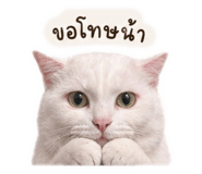 838432207