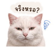 838432208