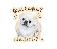 838444530