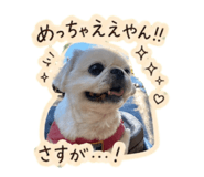 838444532