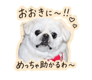 838444533