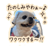 838444540