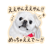 838444541