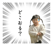 838444547