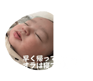 838444662