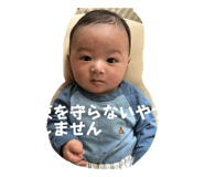 838444663