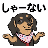 838444904