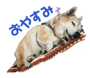 838444940