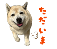 838444948