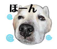 838444959