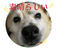 838444973