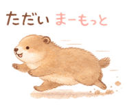 838444990