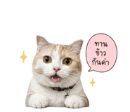 838445213