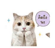 838445214