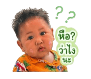 838446446