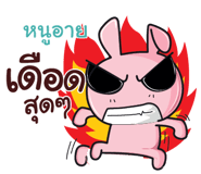 838460056