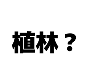 838465624