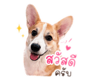 838467985