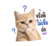 838468164