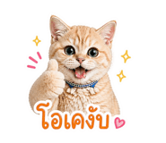 838468169