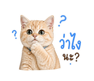 838468180