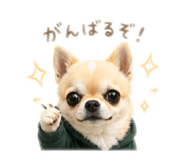 838470945