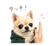 838470952