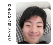 838476733