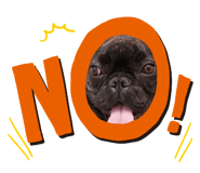 838477601