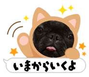 838477610