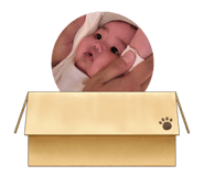 838477882