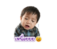 838483553