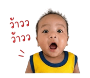 838483806