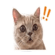 838484267