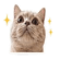 838484273