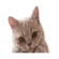 838484281