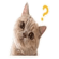 838484282