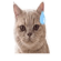 838484284