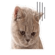 838484286