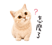 838484968