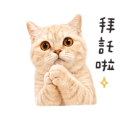 838484989