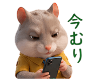 838485828