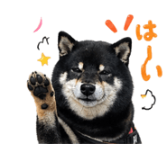 838489684