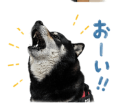 838489695